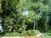 Papadopoli Garden (click to enlarge)